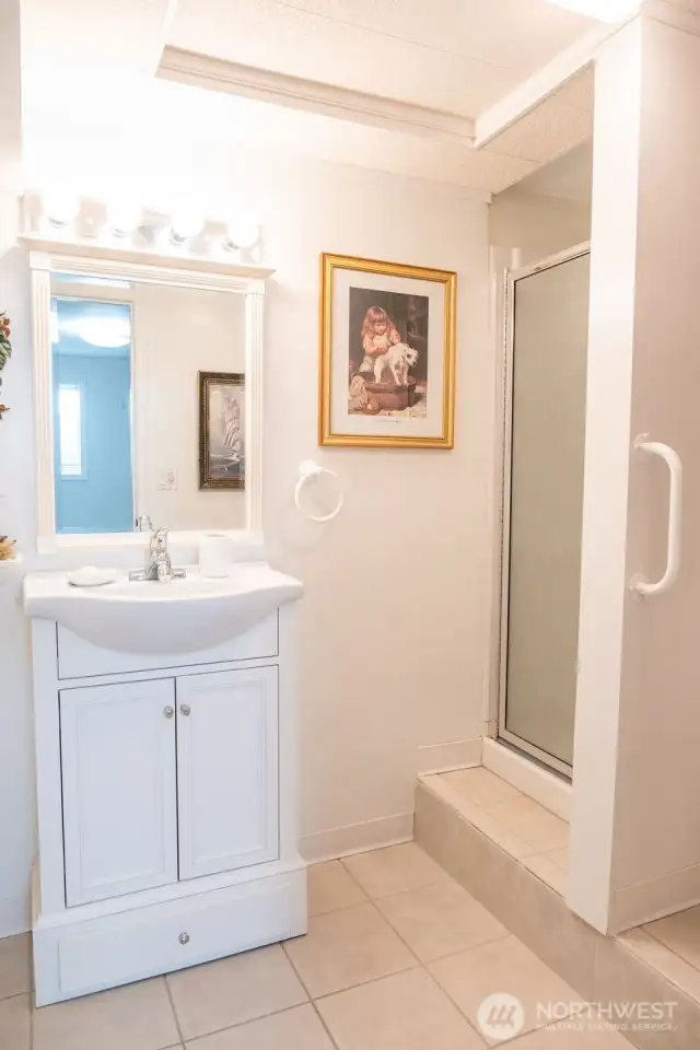 basement bathroom