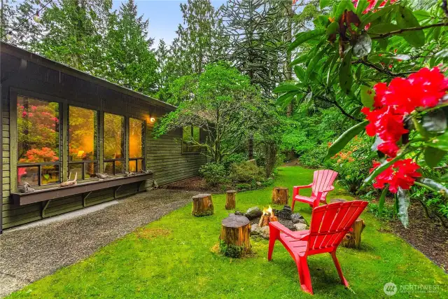 Beautiful backyard
