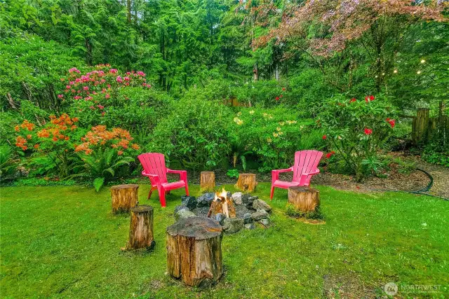 Beautiful backyard