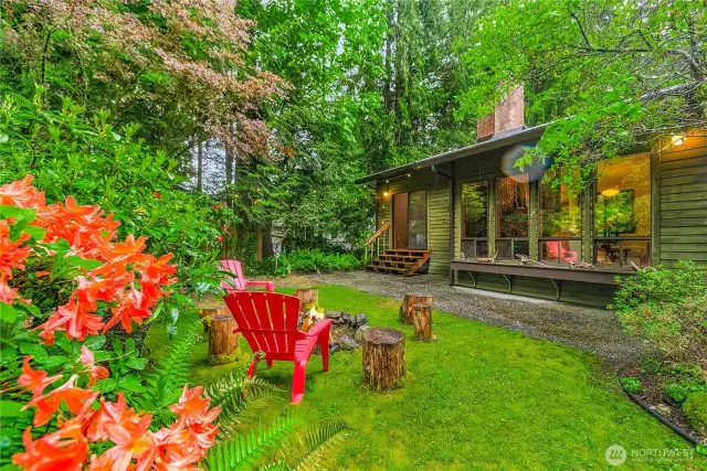 Beautiful backyard