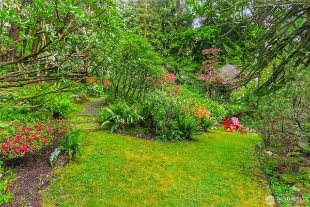 Beautiful backyard