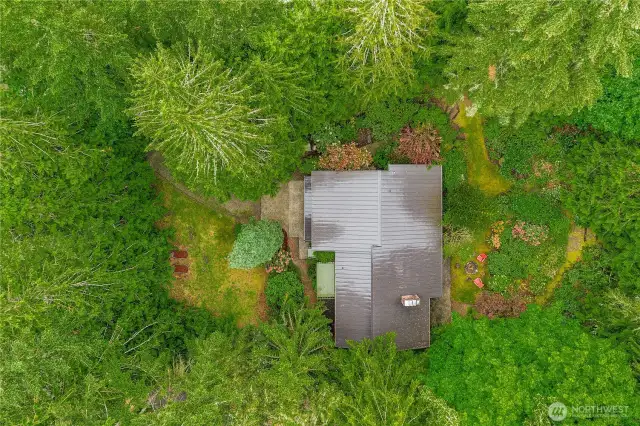 Midcentury Modern nestled within a serene woodland!