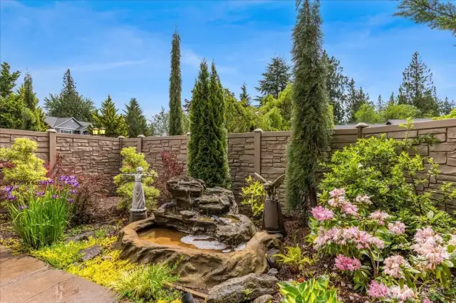 Front yard landscape