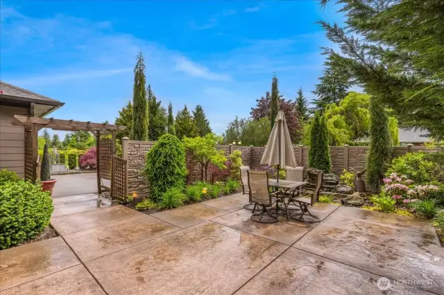 Front yard