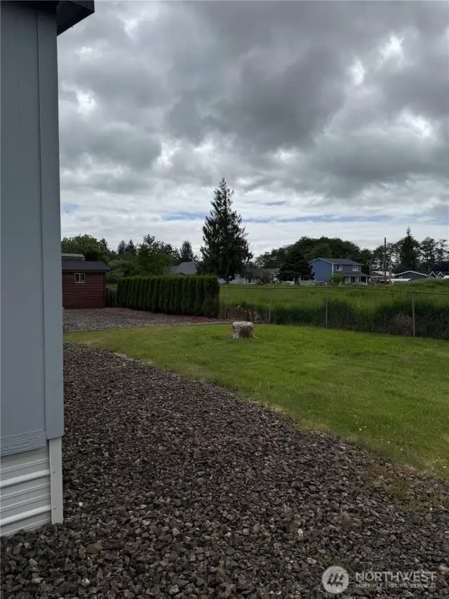 Backyard