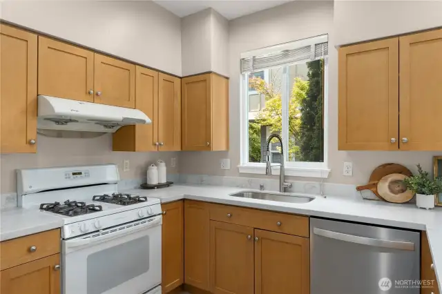 New quartz countertops, new sink, faucet and disposal