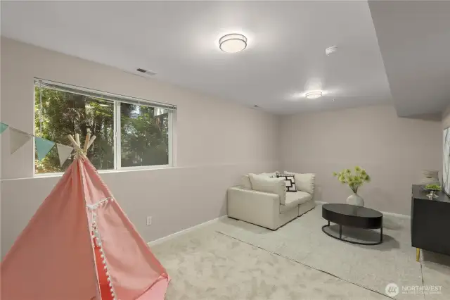 Large bonus room on lower level - ideal for office, media, playroom or guest room !