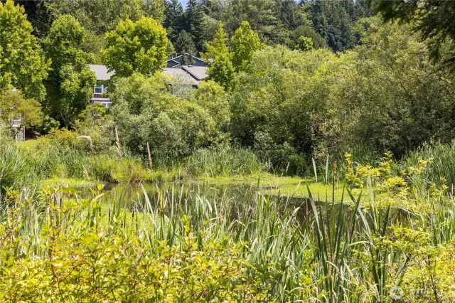 Enjoy a quiet and peaceful lifestyle in the charming Meadowview community, just minutes from shops, dining, and more !