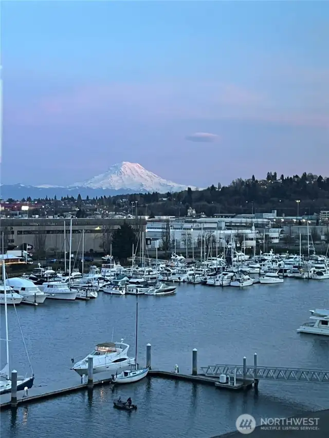Here is your evening view from#613 showing the magnificant Mr Rainier.