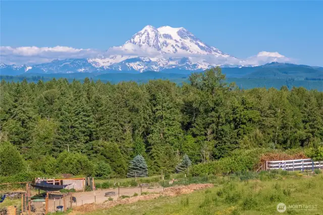Greeted every day my the views of Mt. Rainier