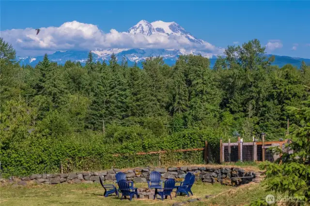 Backyard firepit with the perfect backdrop