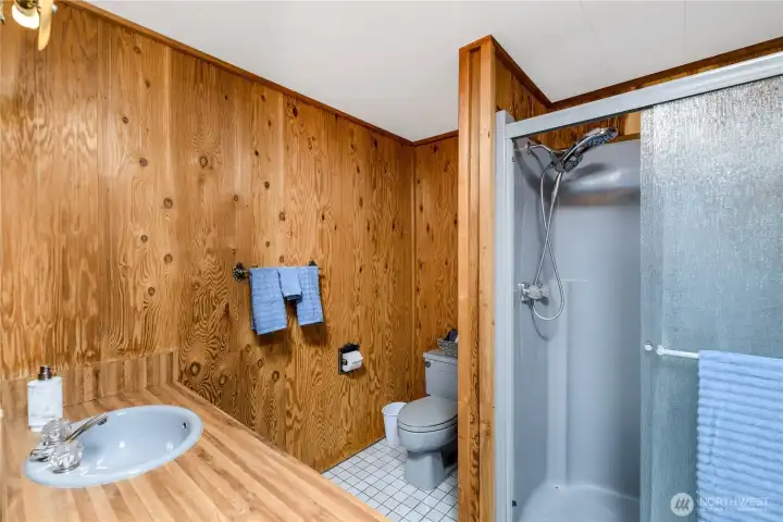 Lower floor 3/4 bath