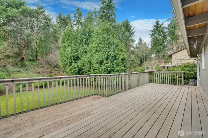 An exceptionally serene and scenic backyard, offering a rare sense of space and privacy.