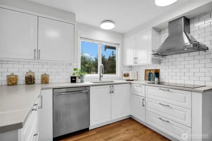 Satin Stainless steel appliances, hood fan, and deep sink