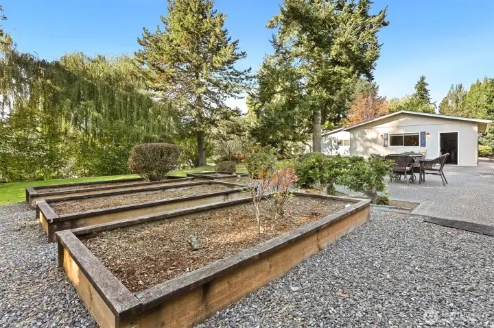 Raised garden beds on west side next to the patio.