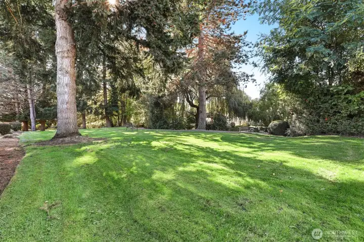 View of community greenbelt, trail and creek on the west side
