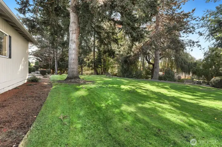 View of community greenbelt, trail and creek on the west side