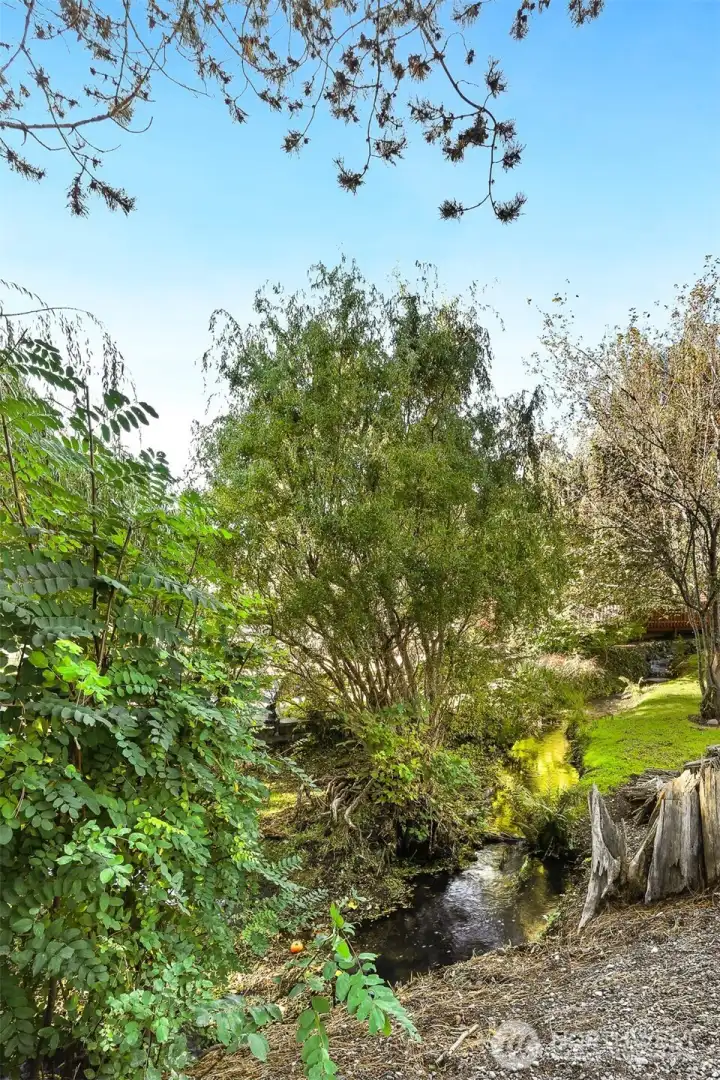 View of community greenbelt, trail and creek on the west side