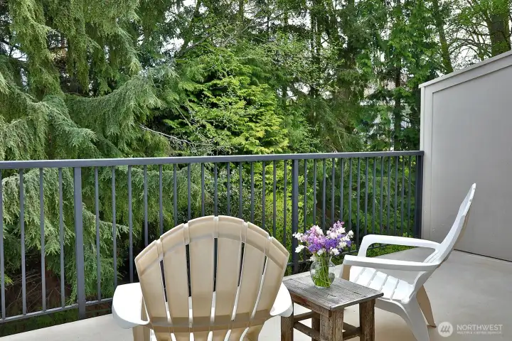 One of the best features of this home is the expansive deck in close proximity to the creek and cedars.