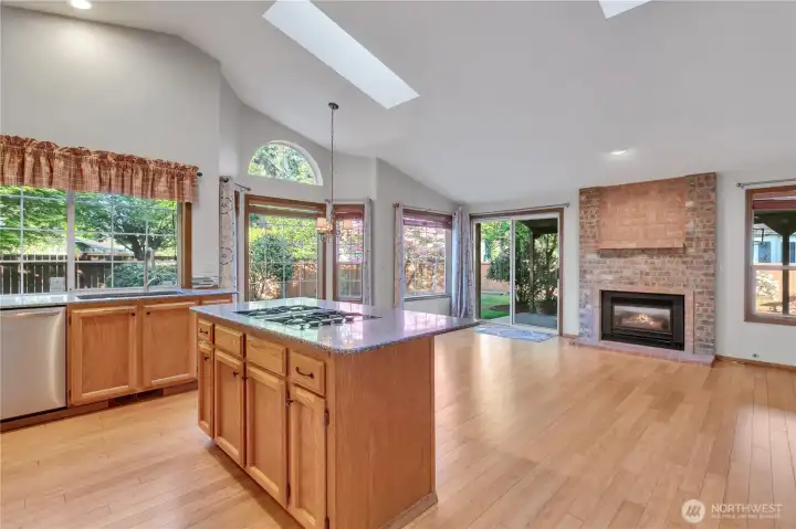 Open concept Kitchen and family room with soaring cathedral ceilings and skylights too!