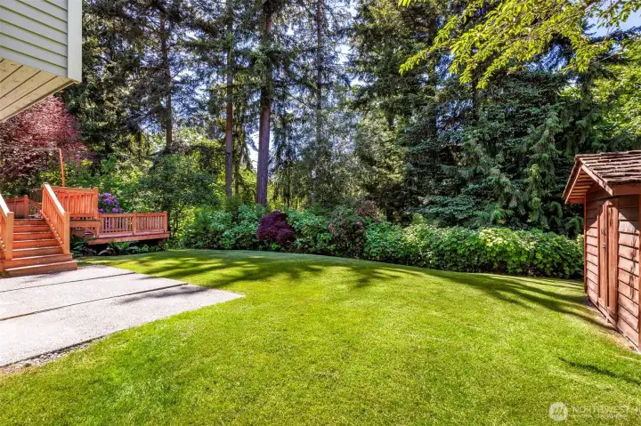 Large yard area backing to Big Gulch Park