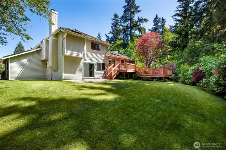 Lots of room for playing in the yard
