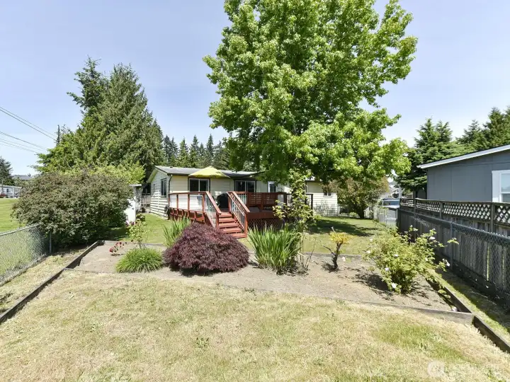 Another angle or the large fenced yard and deck with raised flower or vegetable garden area. There is an HOA common area just beyond the fence used for walking dogs, etc.