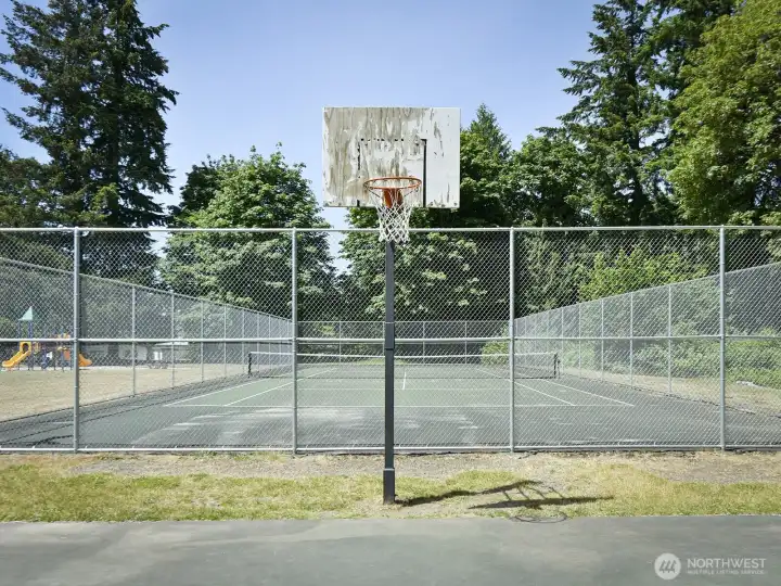 Basketball, anyone?  Lots of options for enjoying the community park.