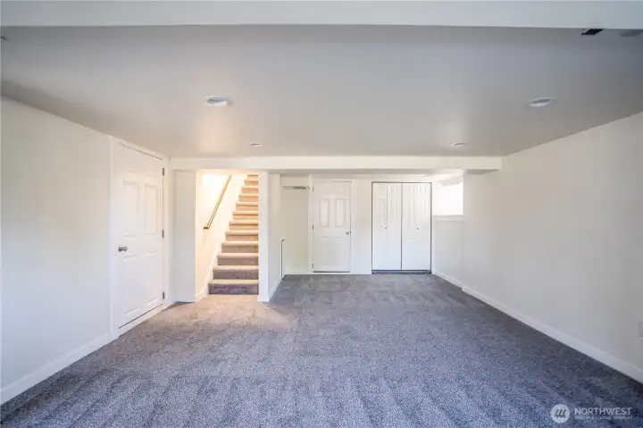 Basement Bonus Room
