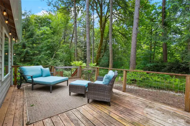 Gorgeous natural views off the private, expansive deck--the setting for this new Olympia listing!
