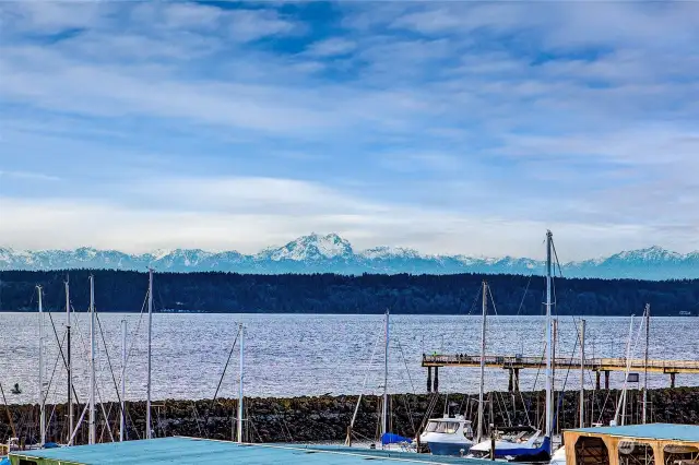 The Puget Sound should be a wonder of the world, it is so breathtaking.