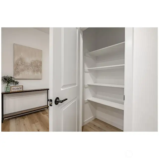 Walk-in kitchen pantry.