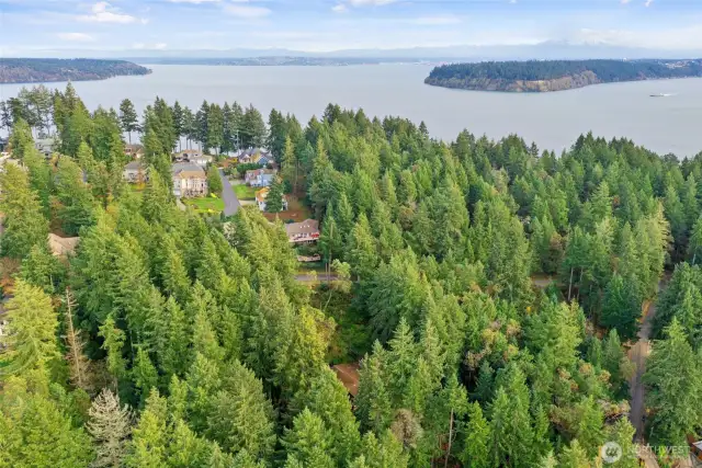 This stunning hill top is quaint yet offers some privacy with towering evergreen pines, firs and cedars.