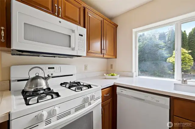 Gas cooktop and oven!