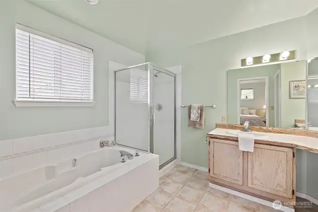 Huge primary en suite bath with soaking tub.
