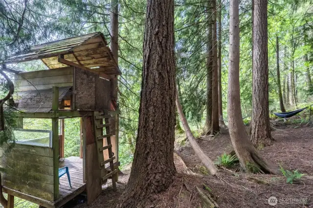 Rustic tree fort on the property.  Property is two lots - and adjacent to a greenbelt buffer.  Lot is almost a full 1/2 acre and with greenbelt and lives large.  Hammocks and a zipline!