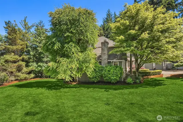 The soft manicured lawn invites barefoot moments