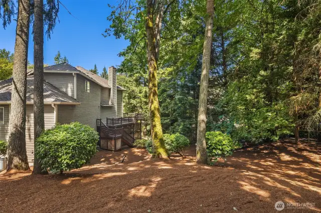 This area of the yard is partially fenced. Room for a playset. Playing in woods sparks outdoor adventures. It makes a great, yet gentle, sledding hill on snowy days too.