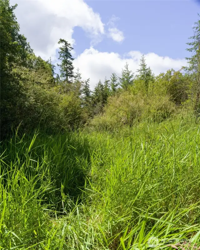 Ground level view looking west