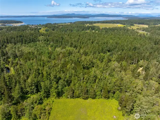 Eastern property line starts beyond large clearing and extends Westward
