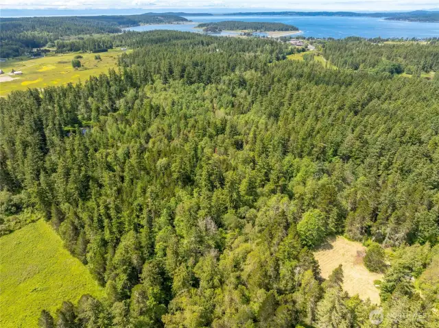 Ariel view from the Northeastern corner