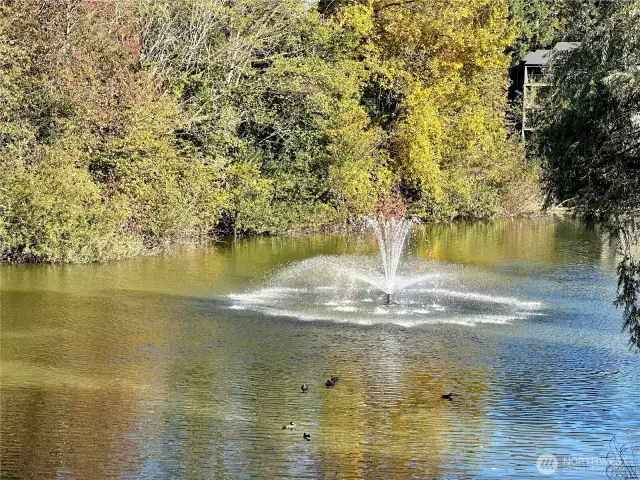 Sixty 01 has 3 lakes with fountains that light up at night.