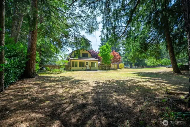 From back yard