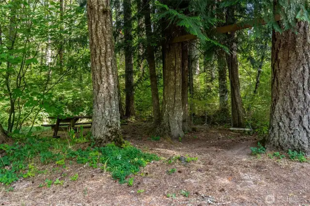 Picnic area of Deschutes parcel