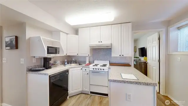 Lower level kitchen