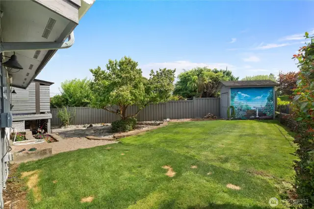 Fenced back yard area with shed