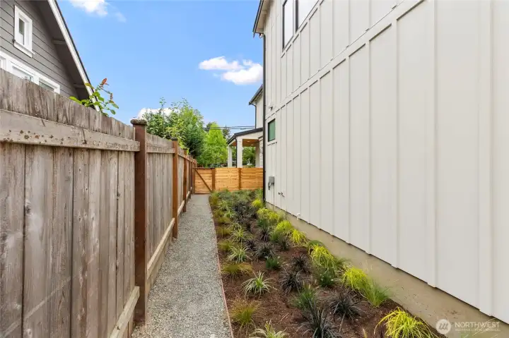 A narrow gravel side yard is transformed into a serene passageway with clean landscaping, ornamental grasses, and a crisp modern edge.