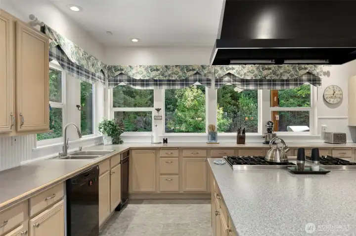 Kitchen view