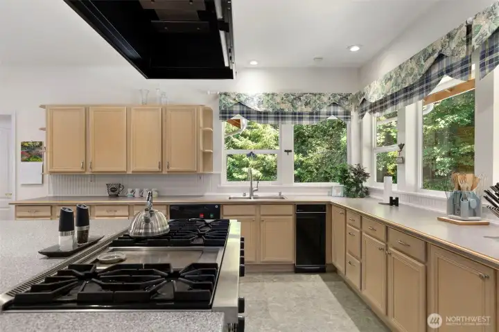 Kitchen view
