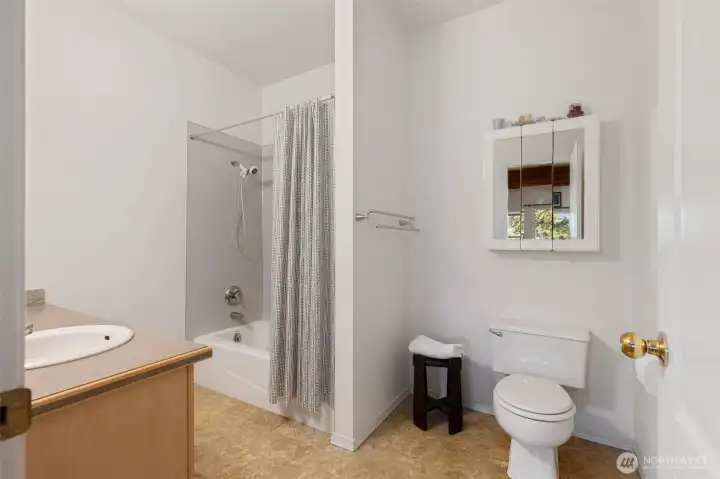 Lower floor full bath